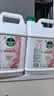 滴露（Dettol）洗手液补充装大桶消毒滋润5L 儿童家庭装杀菌护手 实拍图