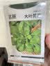 北蔬茼蒿菜种子苗大叶茼蒿皇帝菜家庭阳台蔬菜籽 大叶茼蒿种子15gx2包 实拍图