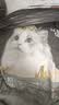 亿迪猫粮冻干幼猫成猫10斤全价英短蓝猫布偶老年猫国产通用全阶段5kg 实拍图