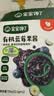 宝宝馋了有机蓝莓果酱150g热门商品无添加糖儿童吐司面包送宝宝婴儿辅食谱 实拍图