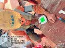 京东京造上臂式电子血压计血压仪高血压测量家用老人医用高精准京东自营 实拍图