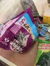 伟嘉猫粮 宠物成猫粮海洋鱼味300g单包尝鲜装 实拍图