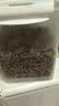 皇家猫粮 美短成猫粮 ASA31 通用粮 12月以上 2KG 实拍图