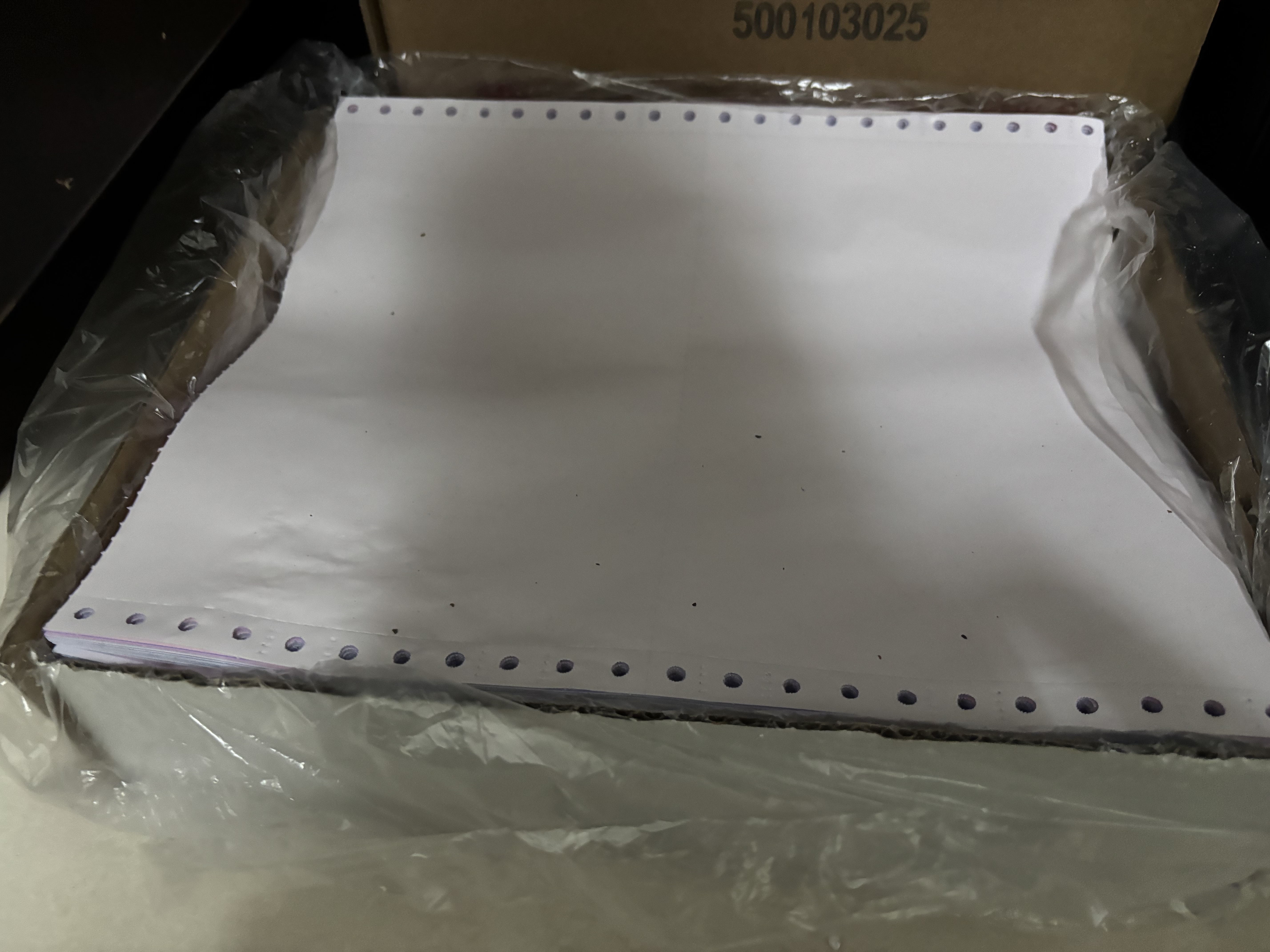 天色高品质电脑打印纸 可撕边 彩色针式打印纸 增值税发票报销单送货单 a4票据清单银行流水纸打印纸 二联二等分/600页 实拍图