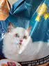 亿迪 冻干猫粮幼猫成猫10斤全价布偶蓝猫英短成年全阶段 实拍图
