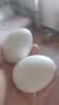 TENGA一次性自慰蛋EGG男性软胶飞机蛋6个装组合情趣用品 实拍图