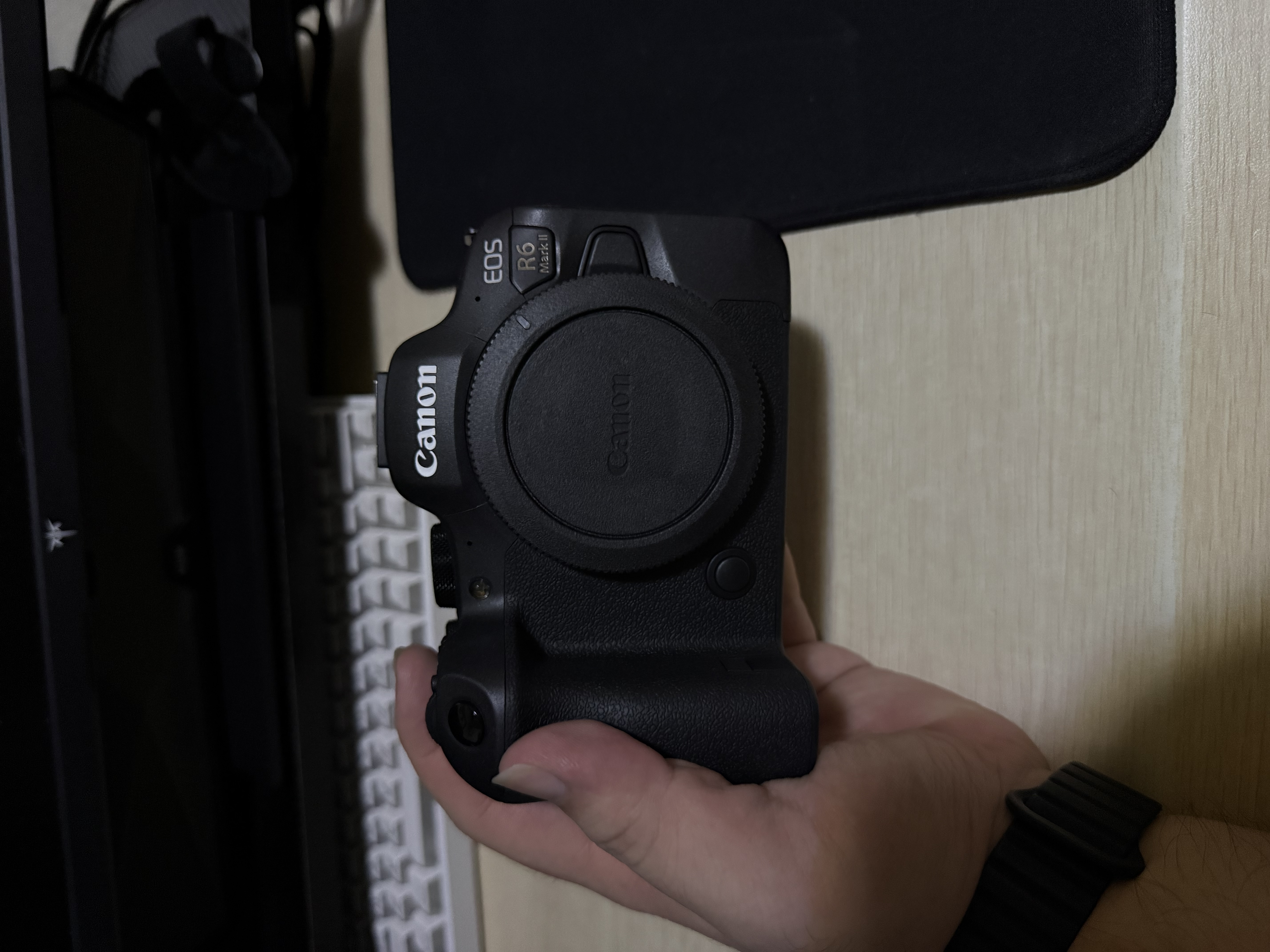 佳能（Canon）r6二代/r6三代全画幅微单相机 vlog视频数码高清R62代 EOS R6 Mark II专业微单 R6二代机身【国家补贴 立减15%】 官方标配【京东多仓发~限量礼袋】 实拍图