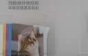 小米【新品】米家桌面打印相纸6英寸4色专业版（64张）四色热升华高清还原仅适配米家桌面照片打印机2 实拍图