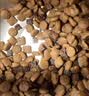 麦富迪狗粮 超肉粒冻干老年犬粮 专研7岁+抗初老 9kg/18斤【宠物金选】 实拍图