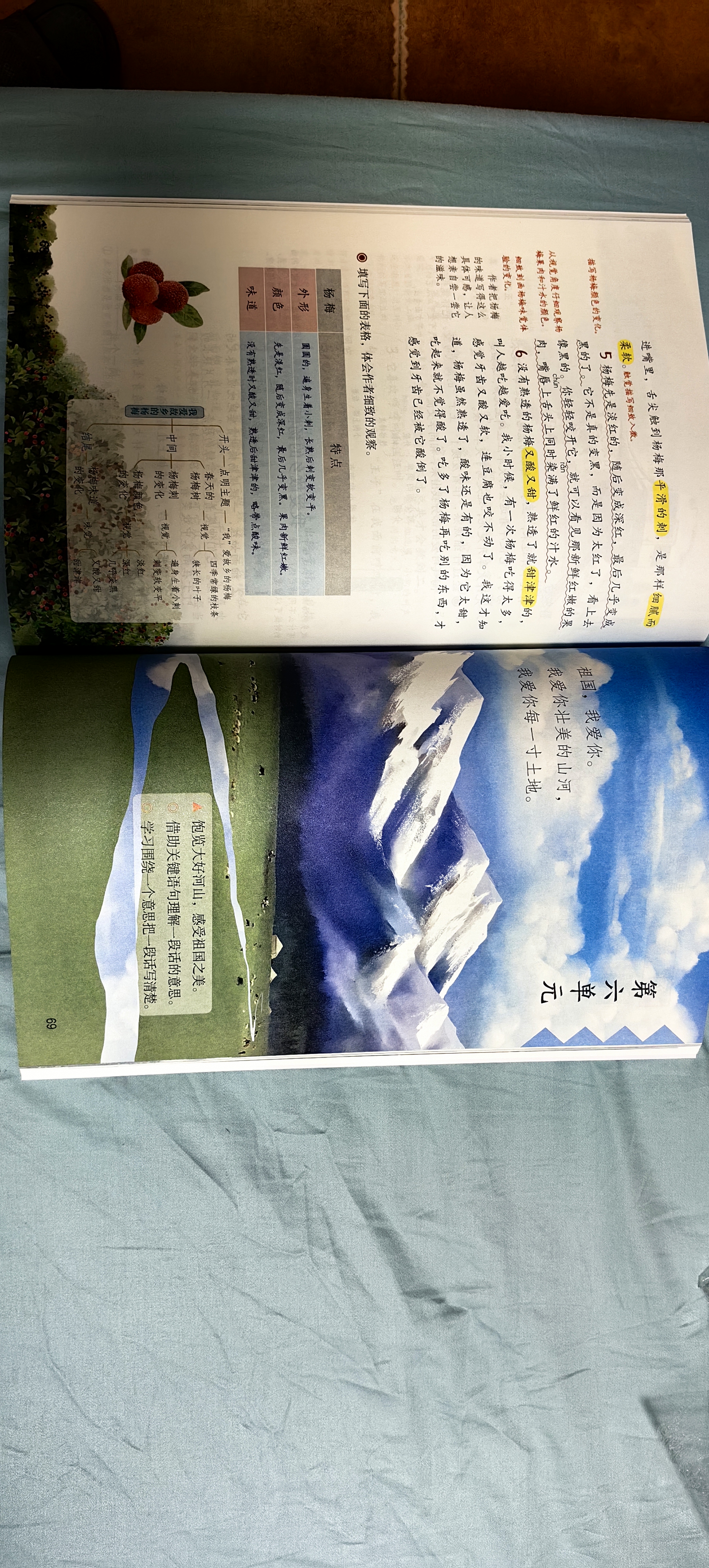 2026斗半匠课堂笔记三年级上册语文数学人教版同步教材随堂笔记教材全解小学生课堂预复习辅导书（2册） 开学季 实拍图
