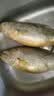 三都港 冷冻黄花鱼700g/2条装 大黄鱼深海鱼 生鲜鱼类 海鲜水产中秋礼品 实拍图