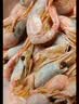 美加佳加拿大海藻头熟冻北极甜虾净重3斤 规格90/120  送礼 中秋聚餐 实拍图