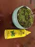 史丹利（STANLEY）水培植物营养液富贵竹专用郁金香水仙花室内盆栽通用型肥料125ml 实拍图