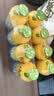 金豆芽儿童金银花柚子汁155ml*16瓶便携孩子饮料宝宝果汁西柚汁 实拍图