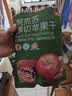 京东京造阿克苏厚切苹果干335g三蒸三晒低GI无添加独立包装儿童新疆健康 实拍图
