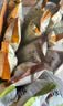 茶颜悦色干脆面包丁2.0 芝士咸香味解馋小零食膨化食品办公室零食35g*12袋 实拍图