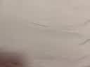 京东京造悦柔床单单件 120g加厚耐用 A类磨毛床罩 250x230cm 科技灰 实拍图