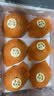 1号会员店（One's Member）山东莱阳老树冰糖秋月梨 果王 单果500g+ 净重7斤 生鲜水果礼盒 实拍图