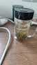 富光双层玻璃杯高硼硅男女士办公大容量茶水分离耐热泡茶水杯子带把手 实拍图