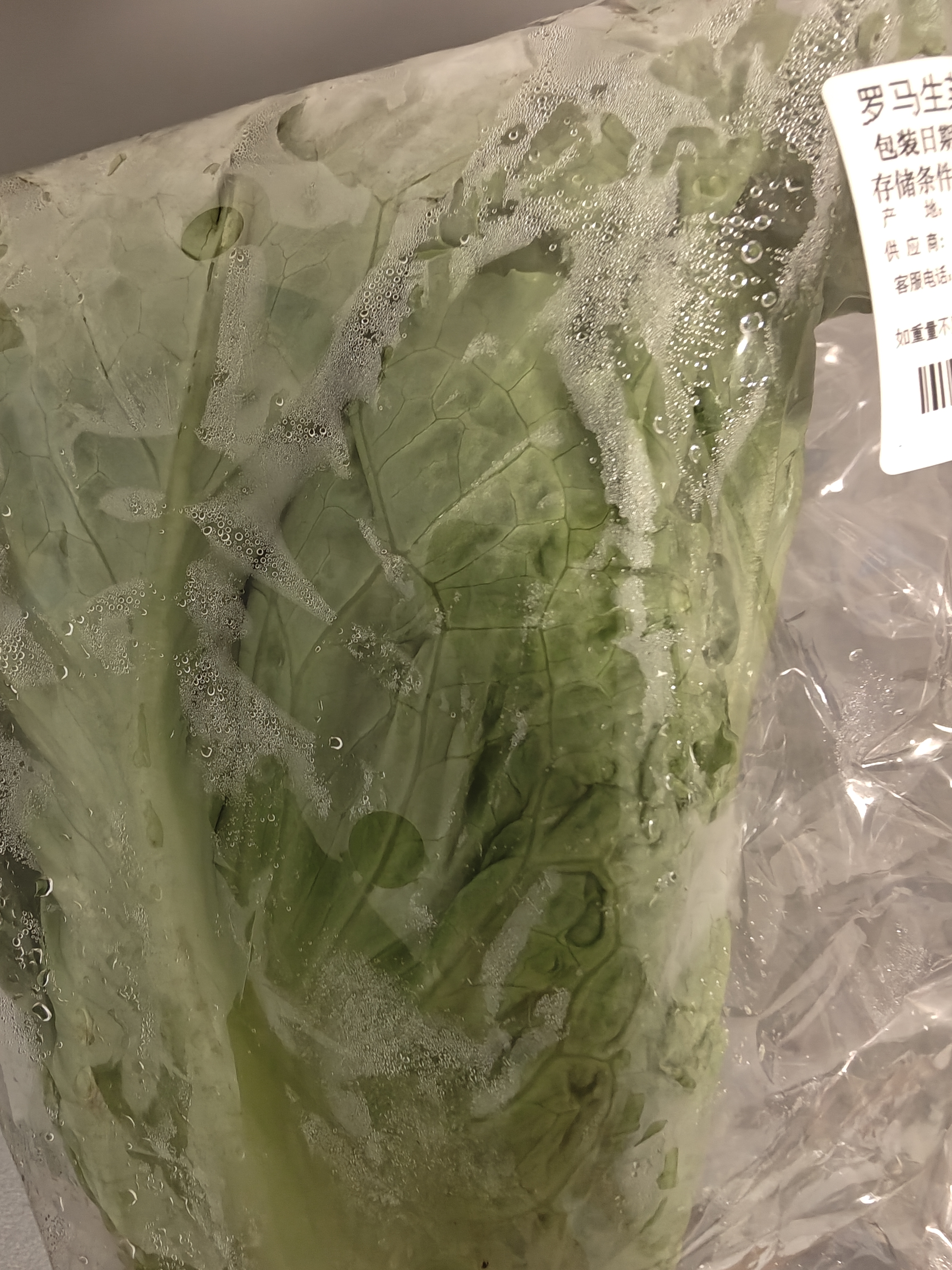 罗马生菜约500g 实拍图