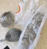 佳帮手钢丝球百洁布5只装厨房洗碗刷锅神器去油污清洁不易掉丝自带挂绳 实拍图