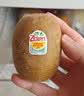 佳沛（zespri）新西兰金奇异果12粒特大果124-146g猕猴桃中秋节礼品送水果礼盒 实拍图