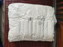 艾薇 A类全棉抗菌决明子防污防水防油枕芯单人纤维枕48*74cm 三防枕 实拍图