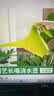 史丹利浇水壶浇花家用长嘴浇花壶长嘴壶大容量尖嘴多肉洒水壶薄荷绿1.8L 实拍图