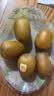 佳沛（zespri）新西兰阳光金奇异果6粒装88-103g猕猴桃水果中秋节礼品送水果礼盒 实拍图