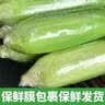 京鲜生云南金银鲜水果玉米 带皮3斤 单果280g+ 新鲜嫩包谷 源头直发 实拍图
