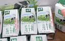 蒙牛精选牧场A2β-酪蛋白纯牛奶200ml*24盒 营养早餐 实拍图