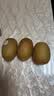佳沛（zespri）新西兰金奇异果10粒巨大果146-175g猕猴桃中秋节礼品送水果礼盒 实拍图