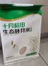 十月稻田 胚芽米 3斤（东北大米 杂粮伴侣 粥米 小包装1.5kg） 实拍图