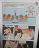 米吴科学漫画书第五辑17-20册小学生超爱看的科学漫画书全套6-12岁儿童科学启蒙漫画科普书奇妙万象篇乐乐趣正版小学生课外书省钱卡 实拍图
