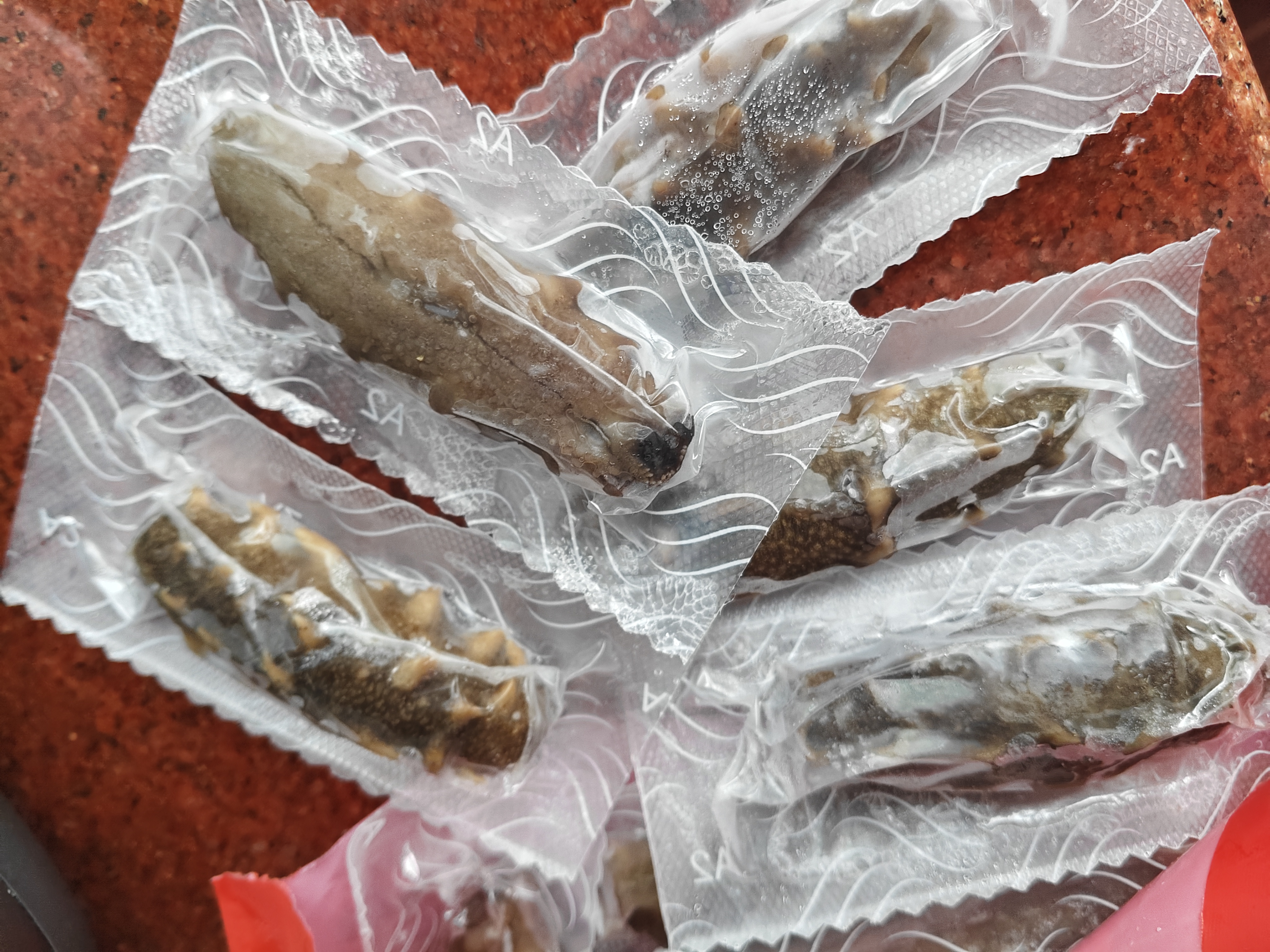 星海湾大连冷冻海参1斤18-25只 非即食辽刺参 正宗辽参 固形物85%中秋 实拍图