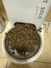 FARMINA PET FOODS法米娜鲱鱼甜橙5kg成猫幼猫绝育控制体重猫粮 实拍图