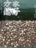方家铺子中华老字号 六星鸡头米 芡实 炖汤煲粥配料红皮芡实500g 始于1906 实拍图
