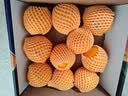 新奇士（Sunkist）澳大利亚蓝标早脐橙4斤中秋礼盒 单果180g起 新鲜水果礼盒 实拍图