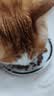 猫乐适乐味多泰国进口猫罐头宠物猫粮成猫幼猫猫咪湿粮猫零食 乐味多85g*12 实拍图