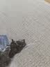 星华源内蒙古风干牛肉干 原切手撕 独立小包装高蛋白零食特产散装称食品 原味500g*1袋（1斤装） 实拍图