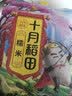 十月稻田 糯米 2斤 东北圆糯米 包粽子 可酿米酒 杂粮米粗粮 实拍图