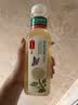 农夫山泉【新口味】东方树叶陈皮白茶500ml*15瓶无糖茶饮料0糖0脂0卡 实拍图