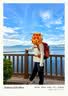 迪卡侬登山包MH500户外旅行徒步背包轻便出游露营大容量38L-5419848 实拍图