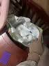 家得宝（homebaby）拉拉裤 蚕丝蛋白婴儿尿不湿 花苞裤男女宝宝 夏季超薄透气学步裤 拉拉裤 L码40片（10-20斤） 实拍图