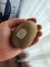 佳沛（zespri）新西兰金奇异果22粒巨大原箱146-175g猕猴桃中秋节礼品送水果礼盒 实拍图