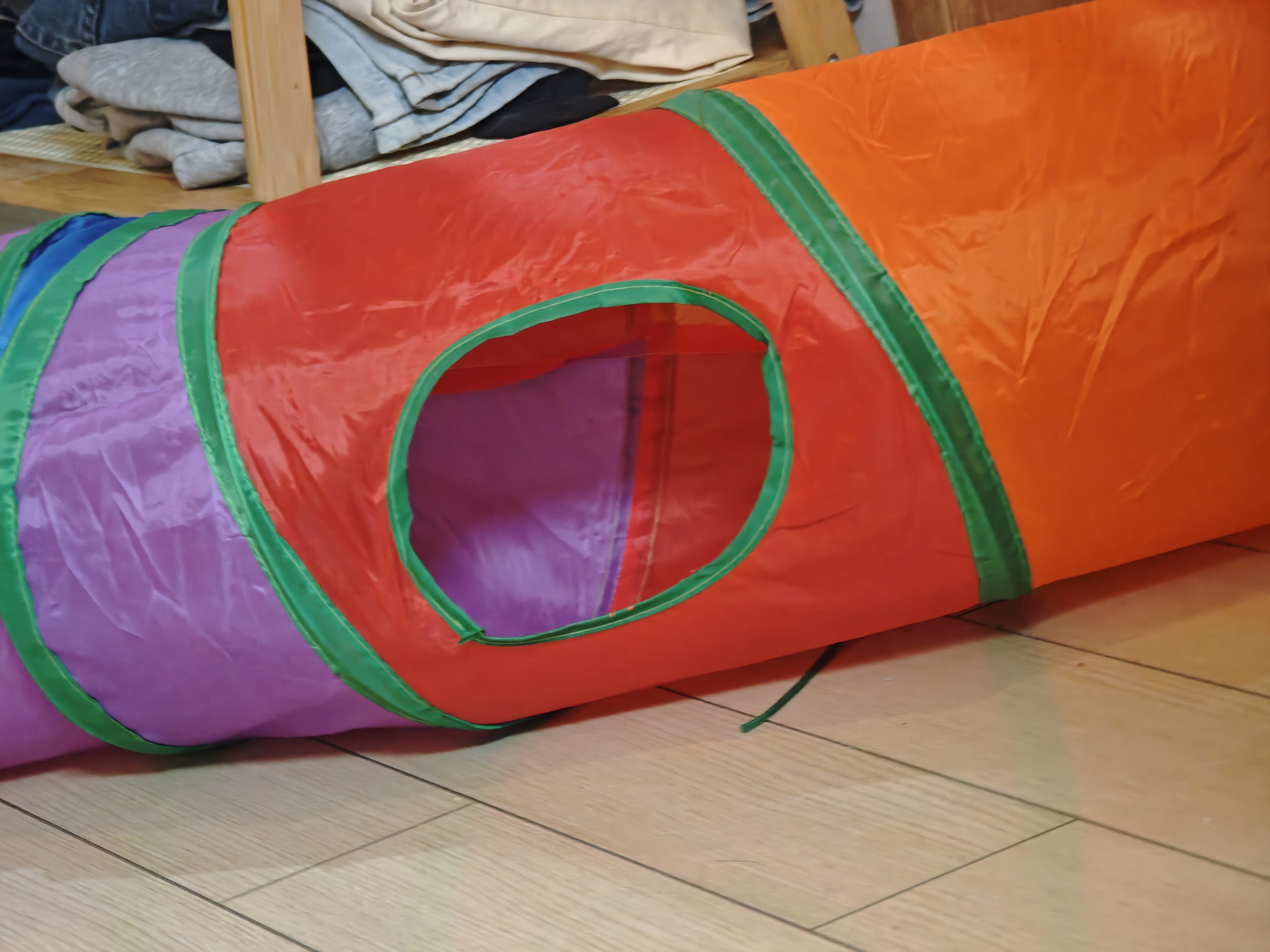 欢宠网猫玩具猫咪猫隧道彩虹钻洞袋子迷宫通道逗猫自嗨神器解闷猫猫小猫 实拍图