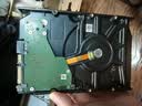 希捷（SEAGATE）NAS硬盘 8TB 256MB 机械硬盘 CMR垂直 静音低耗 数据恢复服务 3.5英寸 希捷酷狼 ST8000VN004 实拍图