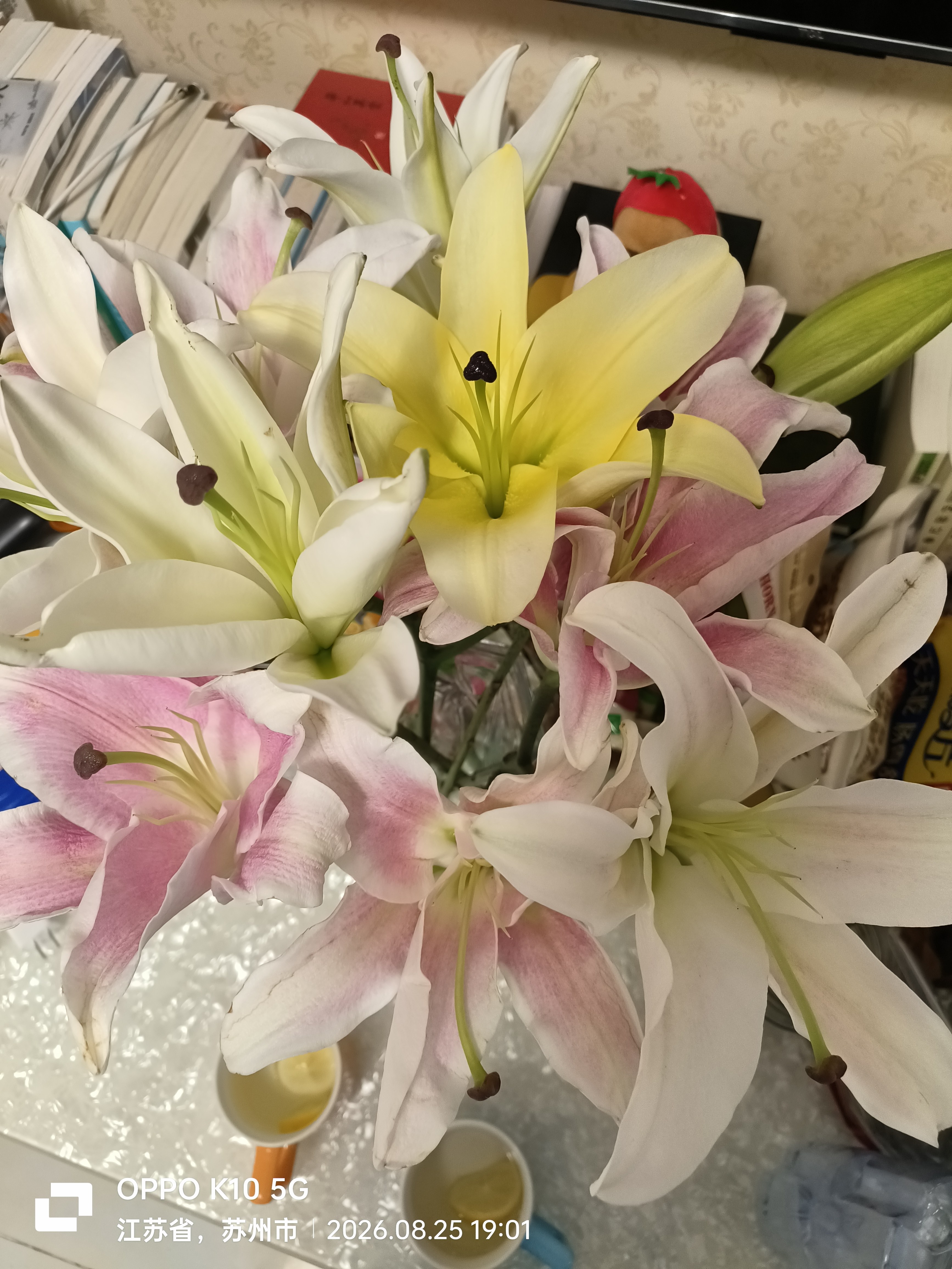 吉米鹿香水百合花鲜花A级【黄色12朵】3-4枝云南基地鲜切花束源头直发 实拍图