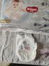 好奇（Huggies）金装小黑洞拉拉裤XXL74(15kg以上)尿不湿【速干不易红】 实拍图