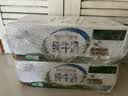伊利【新鲜日期】纯牛奶苗条装 200ml*24盒优质乳蛋白 中秋礼品 8月产 实拍图